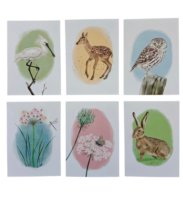 Kaartenset inheemse planten en dieren