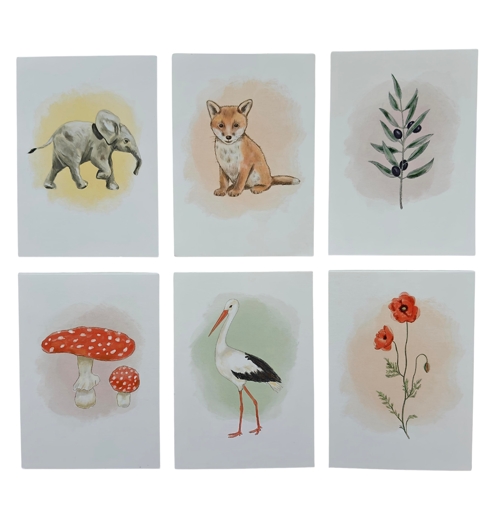 Kaartenset natuurkaarten