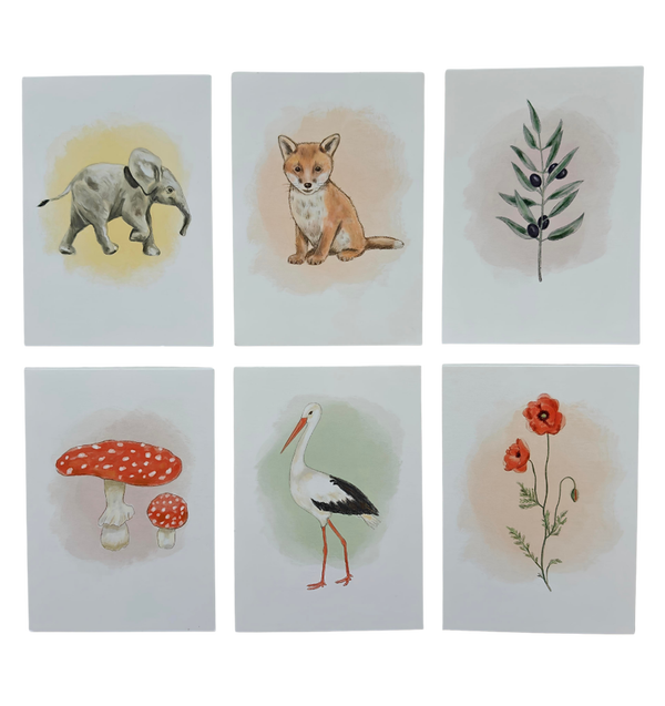 Natuurkaarten set