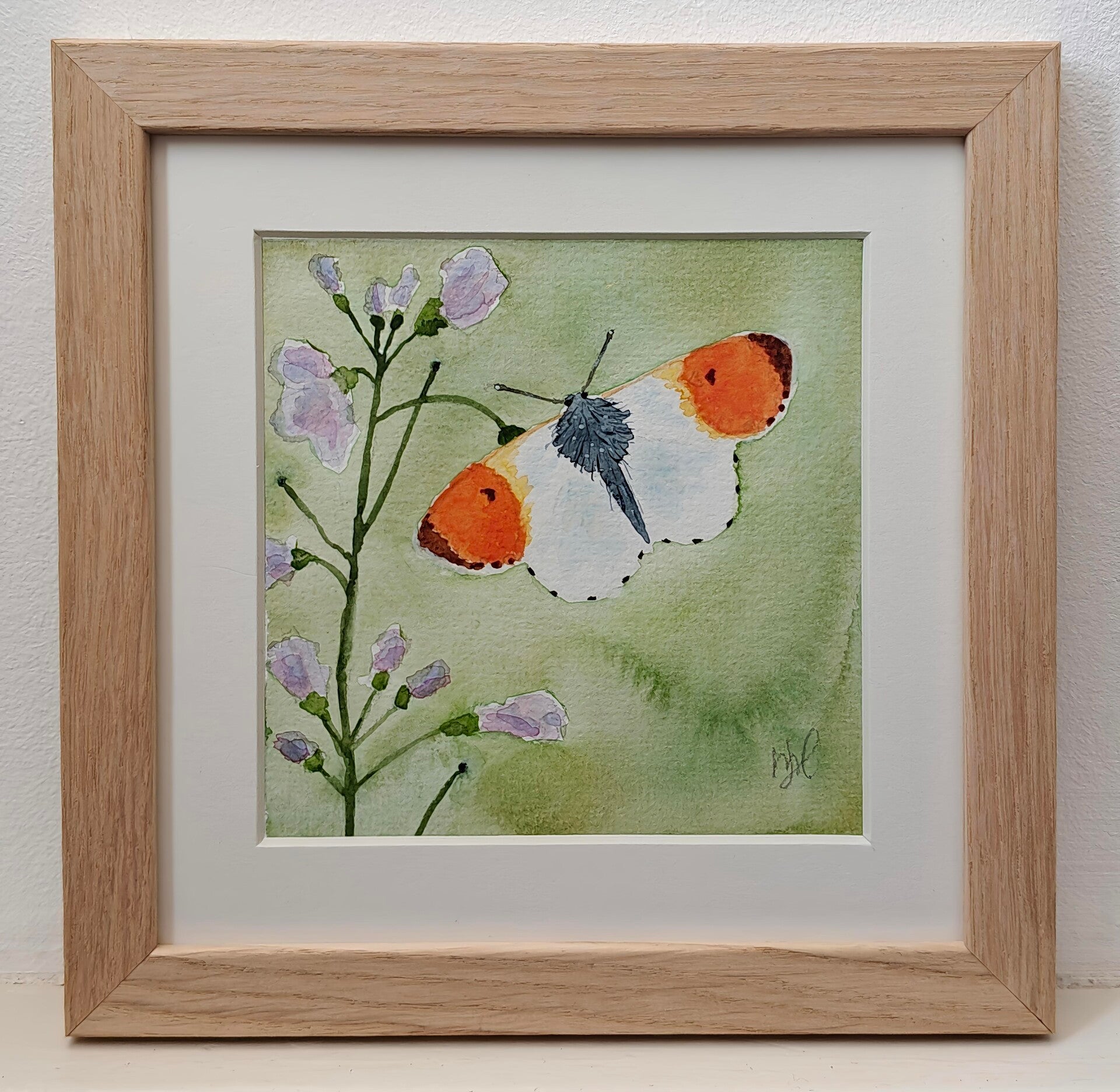 Aquarel Oranjetipje