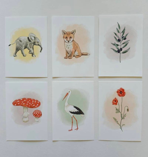 Kaartenset met 6 natuurkaarten