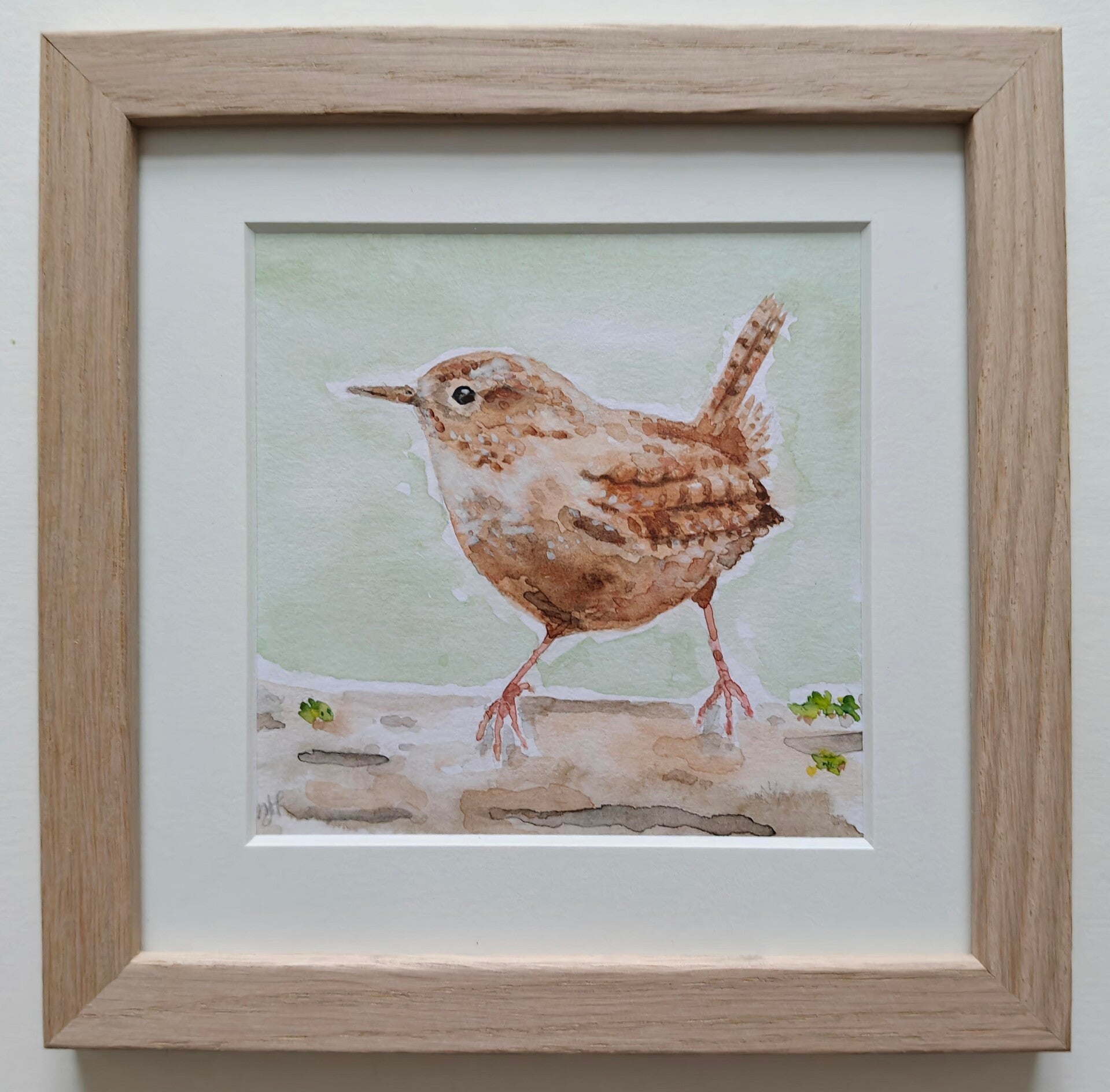 Aquarel Winterkoninkje