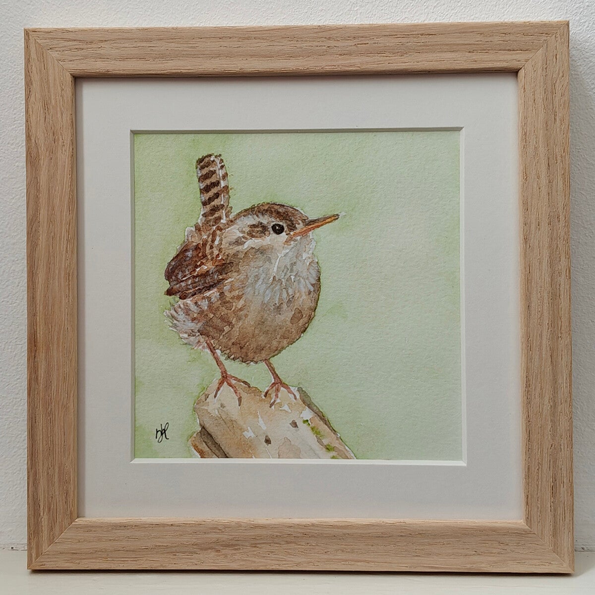 Aquarel Winterkoninkje vooraanzicht