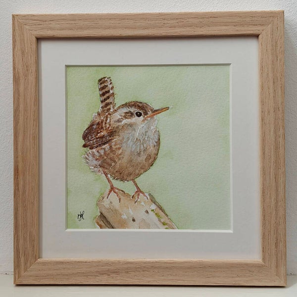 Aquarel Winterkoninkje vooraanzicht