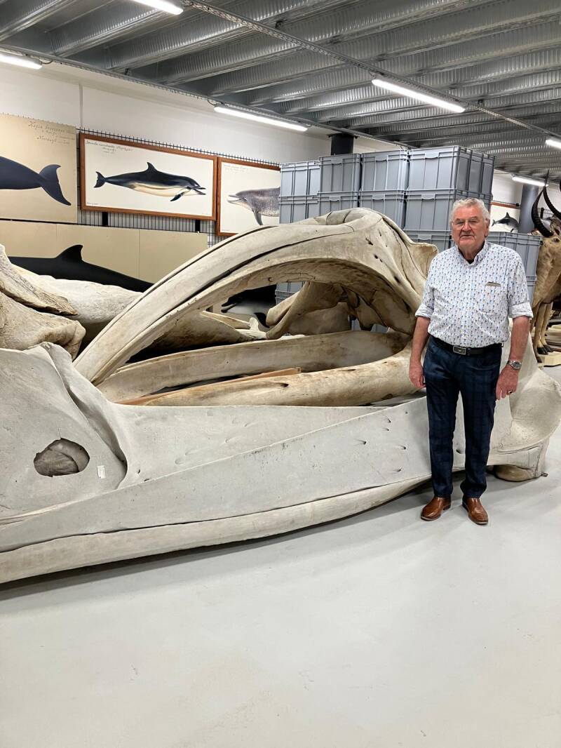 Wim van de Sluis bij Naturalis in Leiden bij het skelet van vinvis Doortje