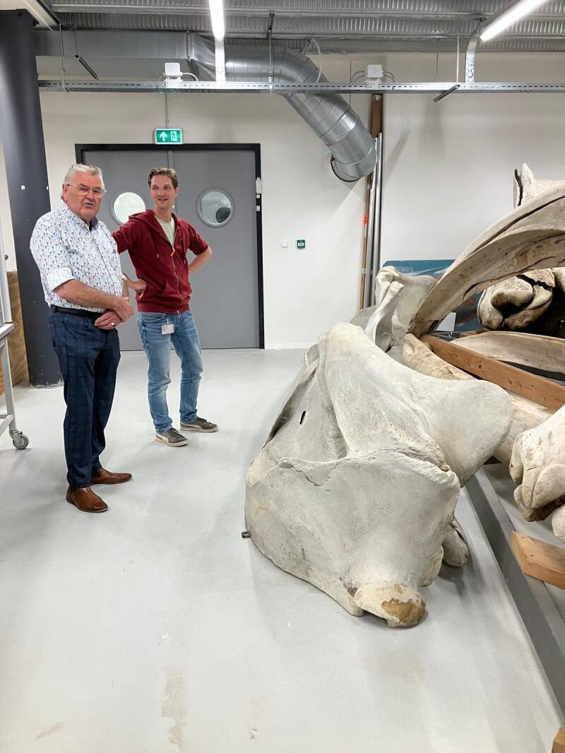Wim van de Sluis bij Naturalis in Leiden bij het skelet van vinvis Doortje