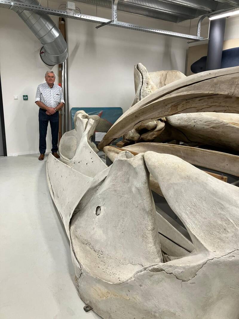 Wim van de Sluis bij Naturalis in Leiden bij het skelet van vinvis Doortje