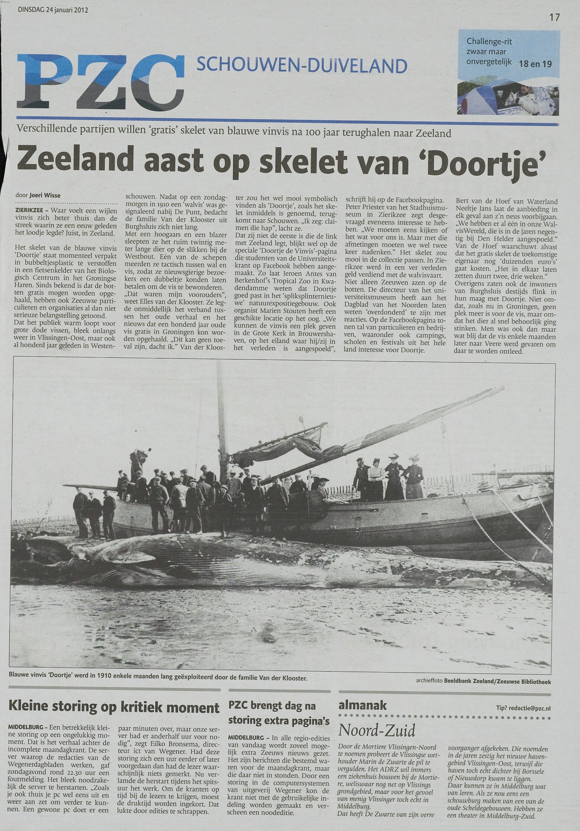 Artikel in de PZC over Doortje de walvis die in Burgh is gevonden.