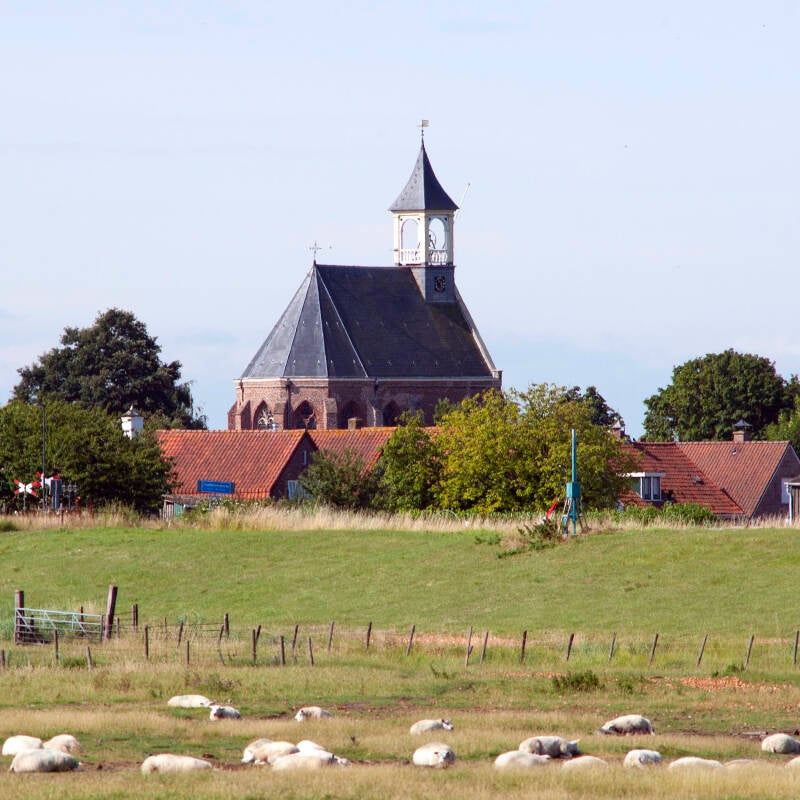 Hoedekenskerke ligt op ongeveer 1 km ten noordoosten van de varkenshouderij | Foto: Jan-Kees de Meester