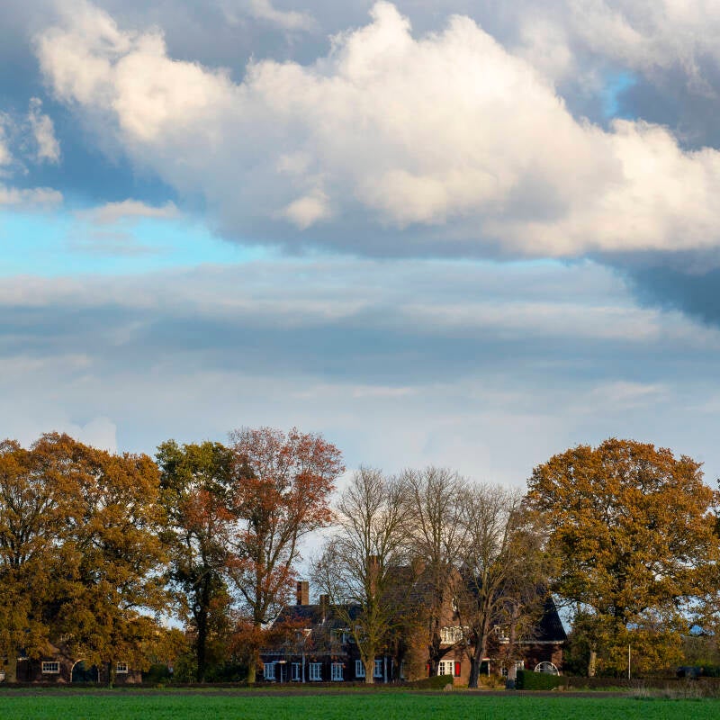 Merel in de sneeuw | Foto: Jan-Kees de Meester