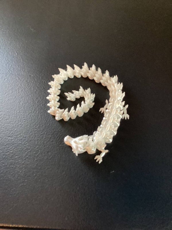 3D dragon