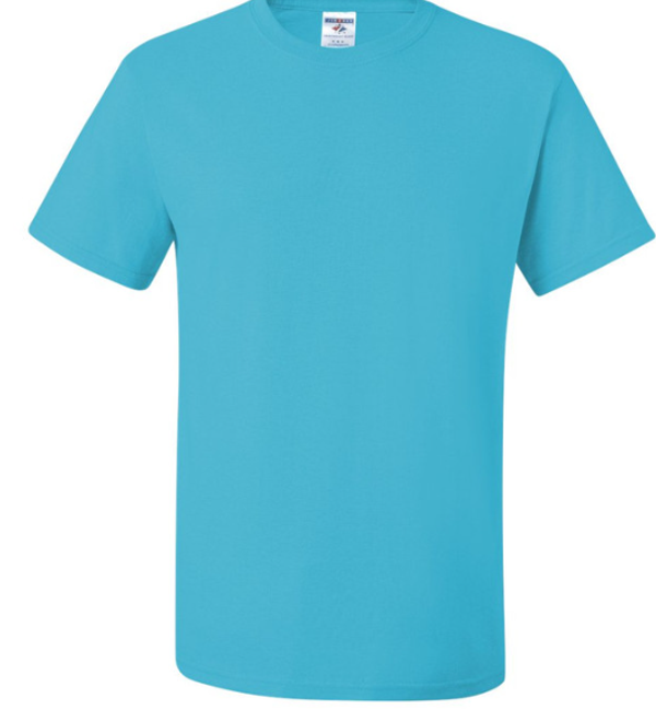 Jerzees Adult Unisex Tee AQUATIC BLUE