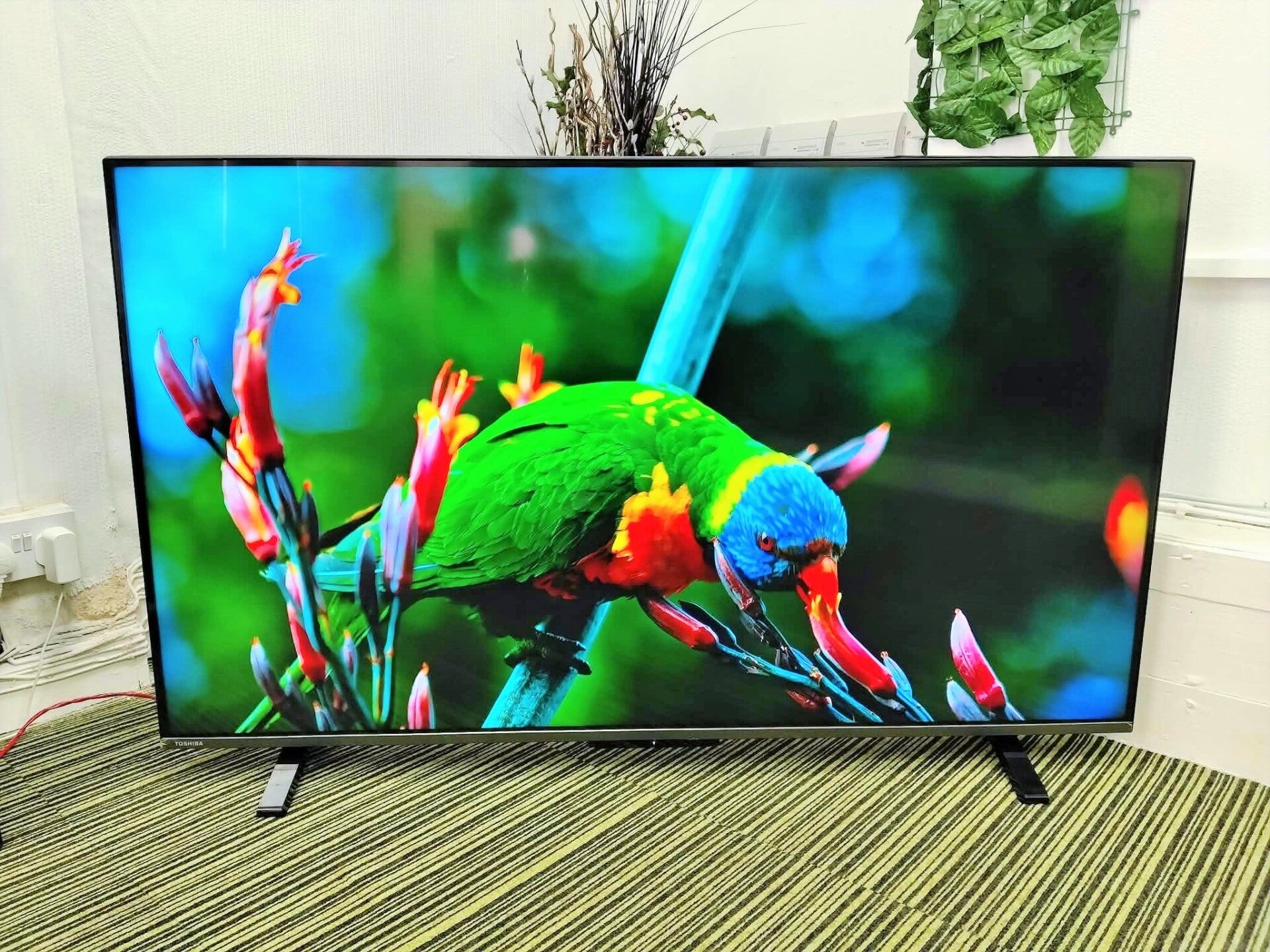 TOSHIBA 55UV2F53DBU 55” 4K HDR10+ DOLBY SMART TV