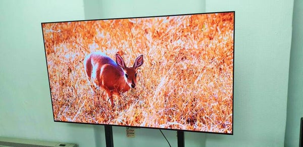 LG C5 OLED55C54LA 55" OLED evo AI 4K CINEMA HDR DOLBY VISION IQ 120HZ WEBoS25 SMART TV – 2025-26 PLEASE READ