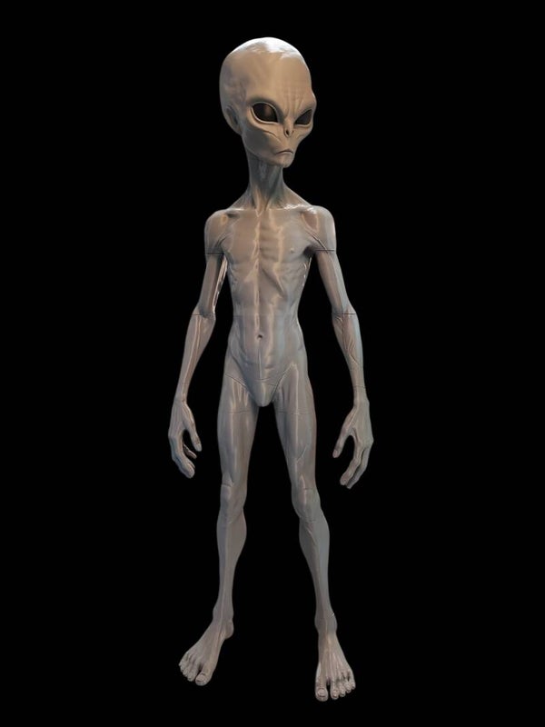Angry Gray Alien