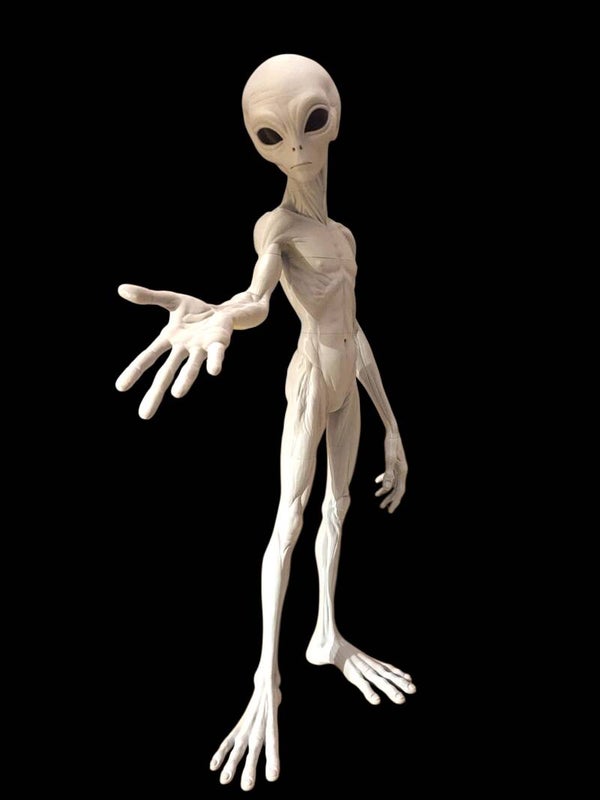 Gray Alien - The Emissary