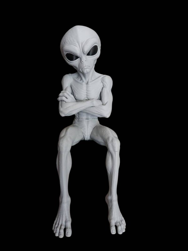 Grumpy Gray on a shelf