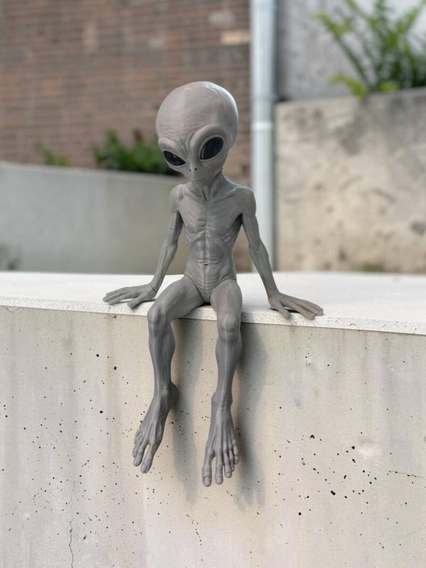 Alien on a shelf