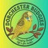 Dorchester Budgies