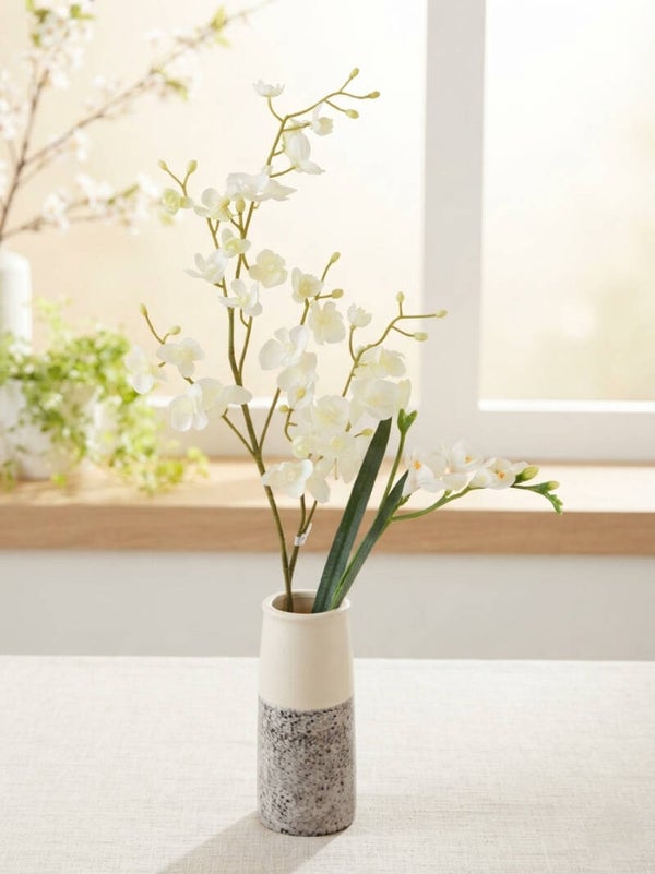 White Orchid