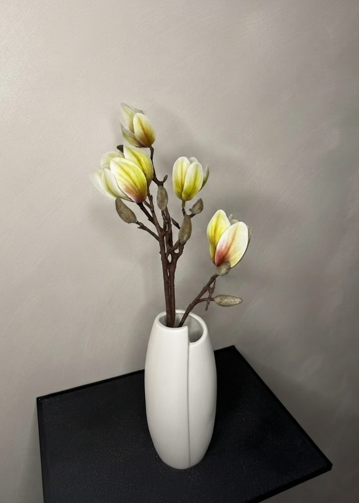 White Magnolia