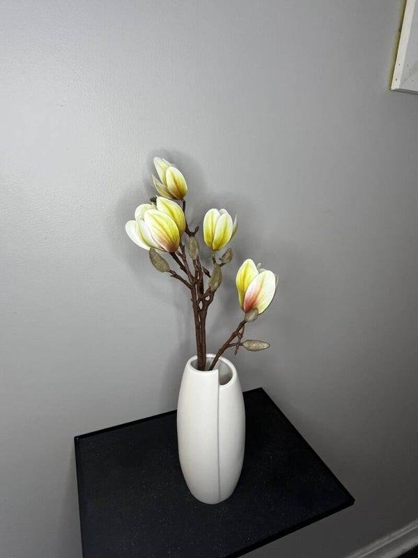 White Magnolia