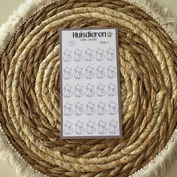 Huisdieren Saving Challenge A6 Kat