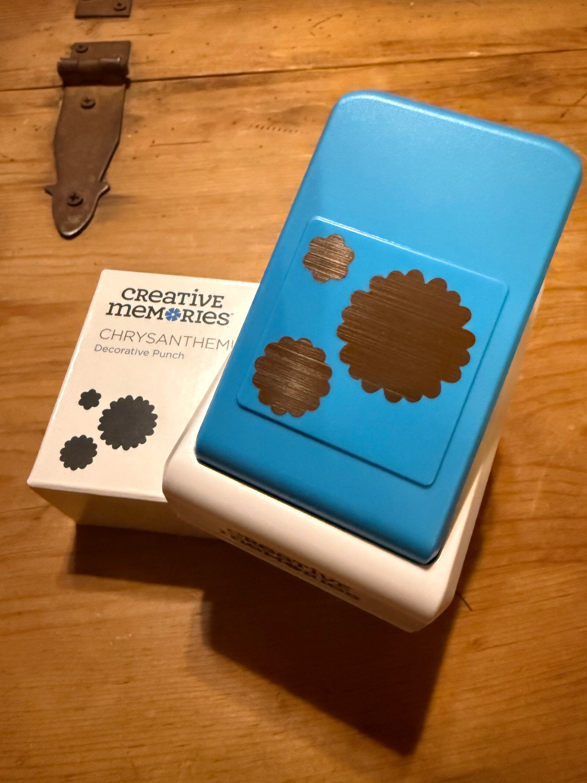 Chrysanthemums Punch