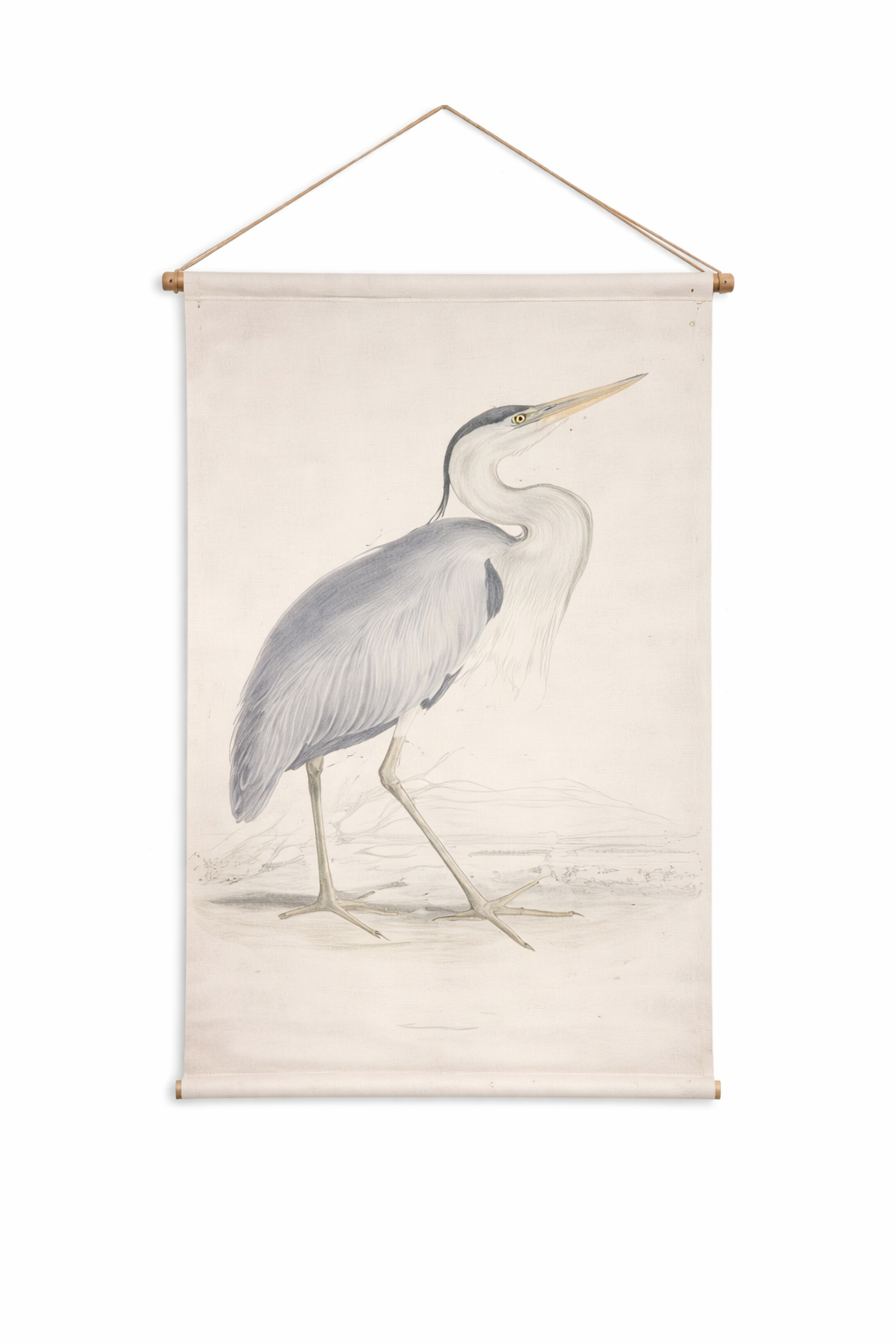 Reiger op Canvas