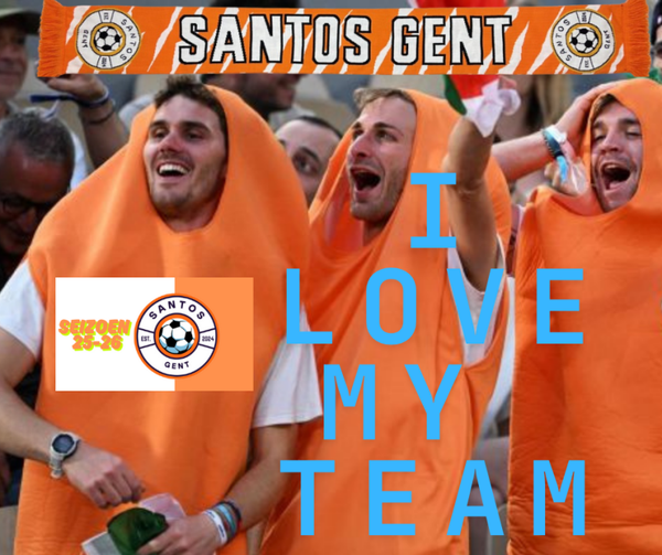 Fan artikels (club abonnement en sjaals)