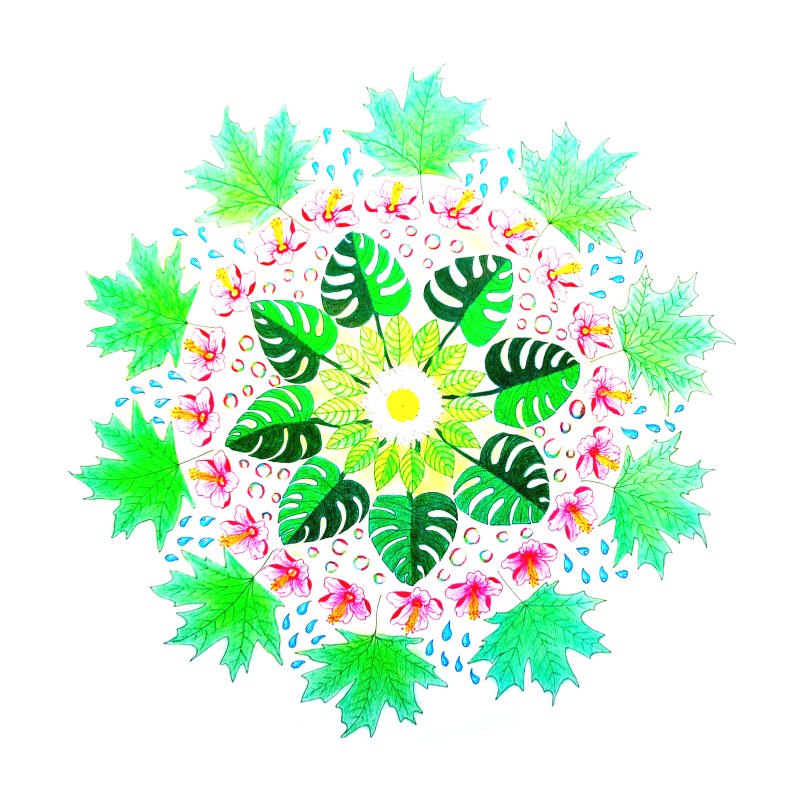 mandala-40-gemalen-am-2024-05-12-standard-l3az71.png