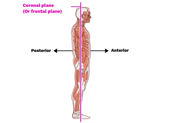 Anterior / Posterior Program