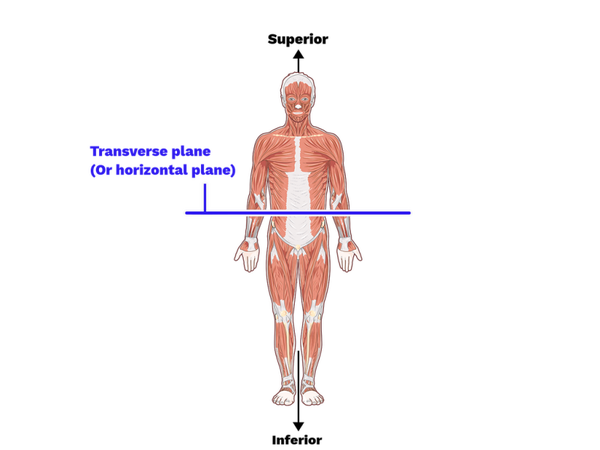 Upper / Lower Program