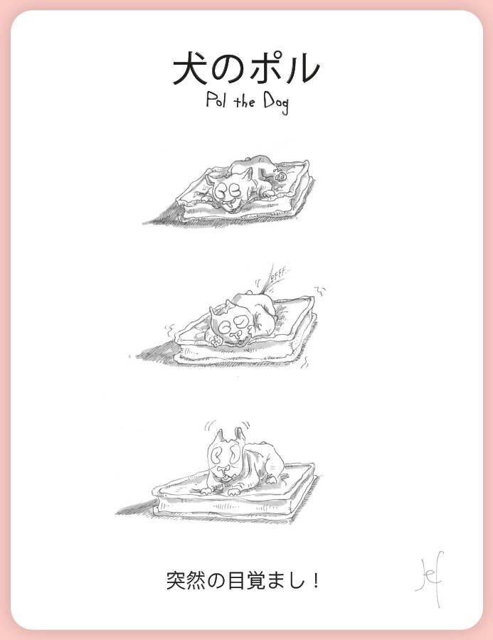 突然の目覚まし！