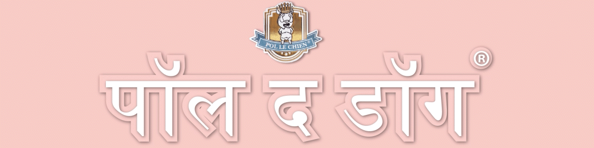 Strips vintage de Pol le Chien®