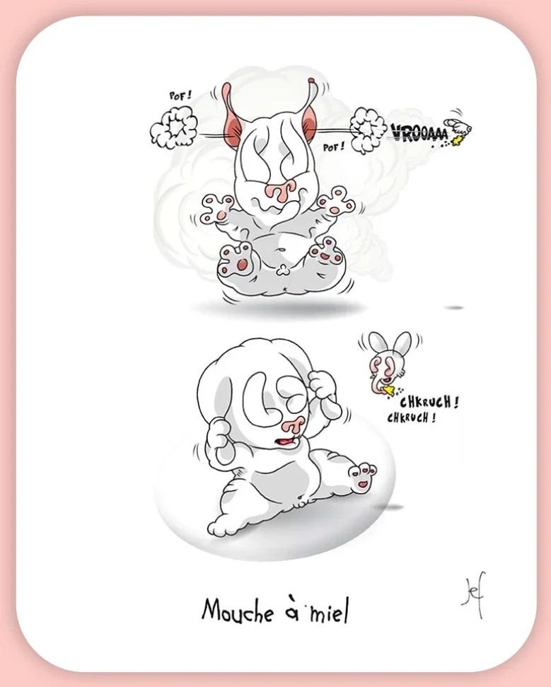 Mouche à miel.