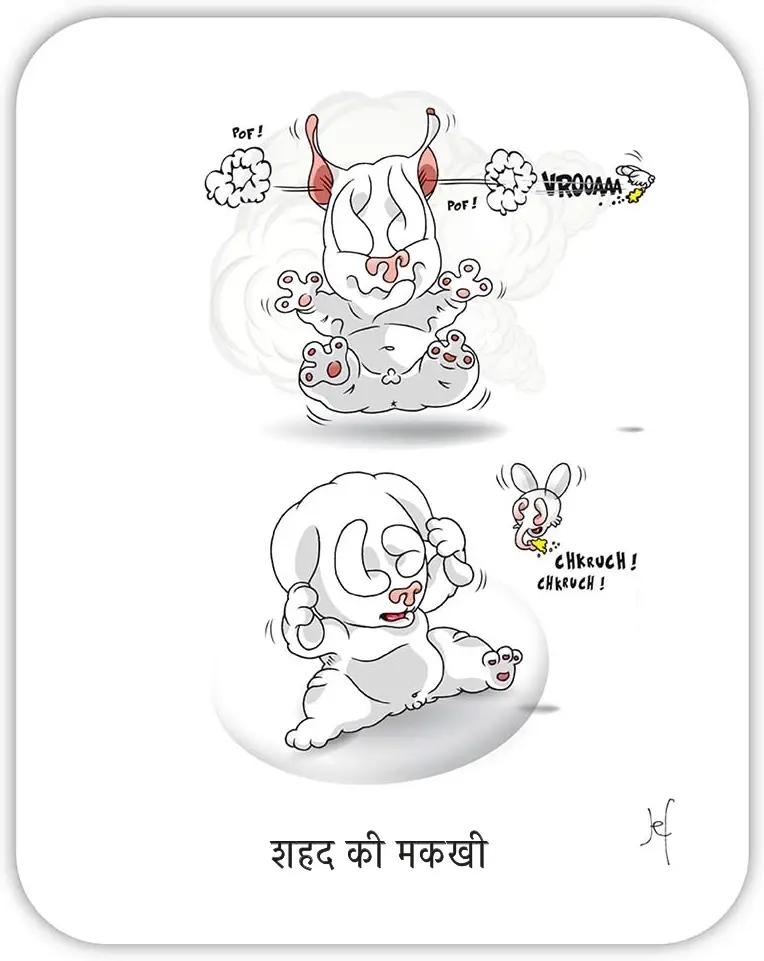 शहद की मक्खी