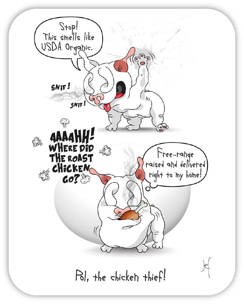 Pol, the chicken thief!