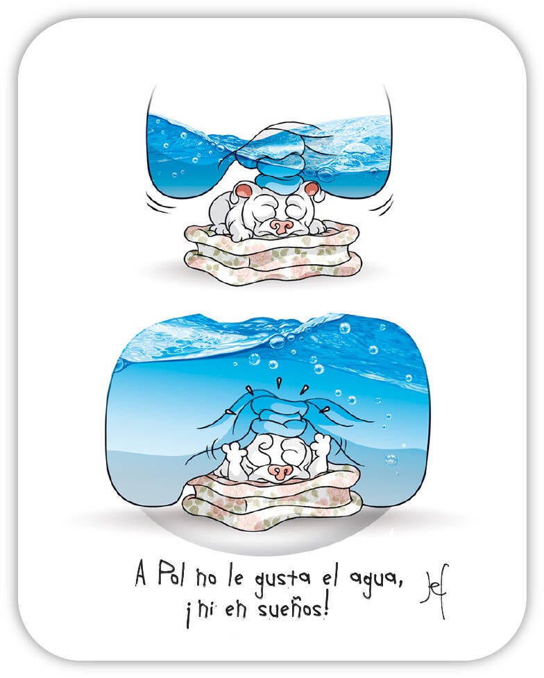 A Pol no le gusta el agua