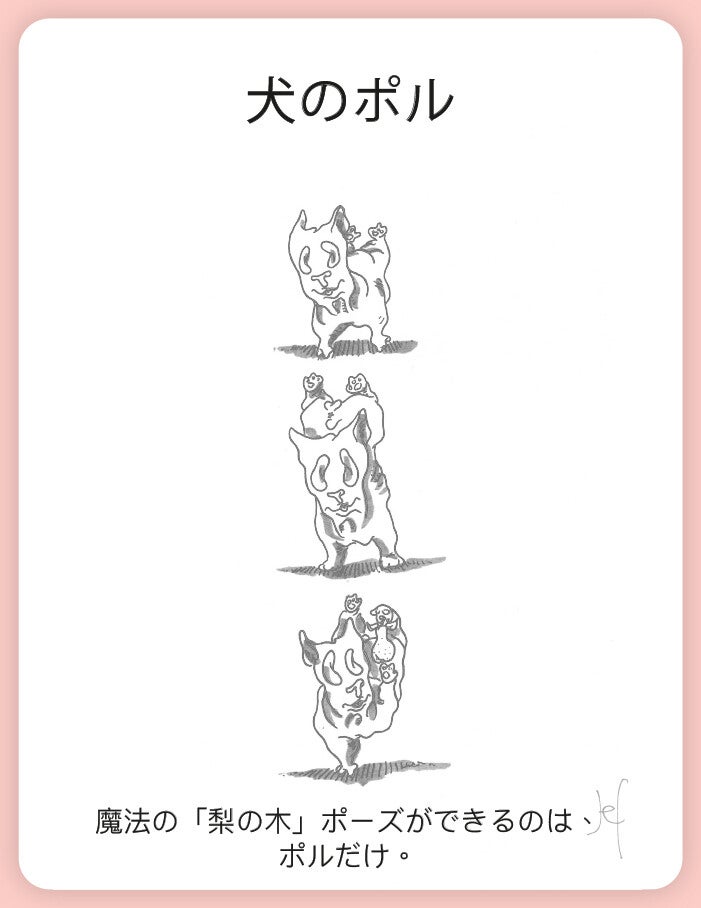 ポルだけ。
