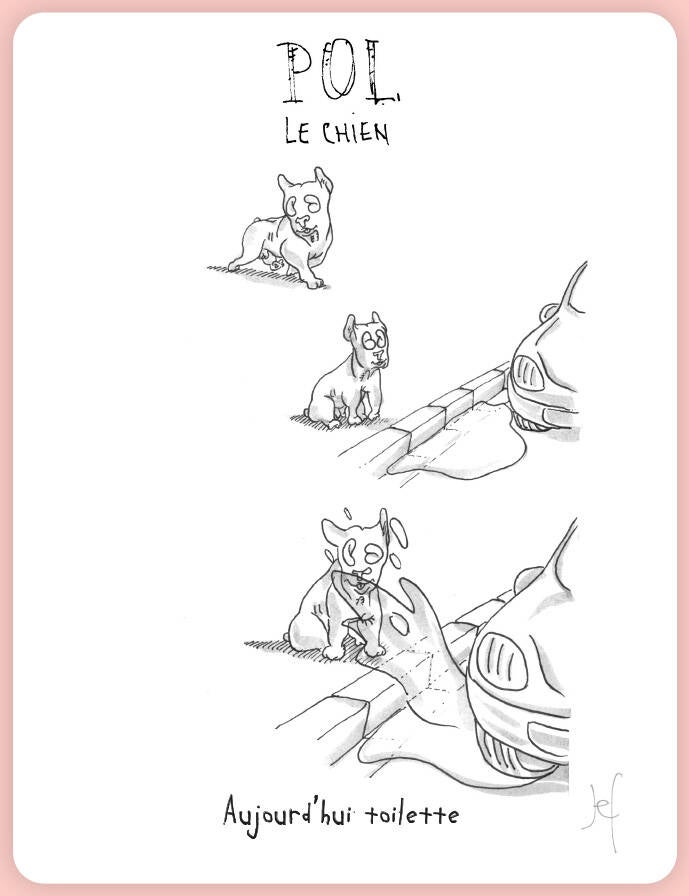 Aujourd'hui toilette.