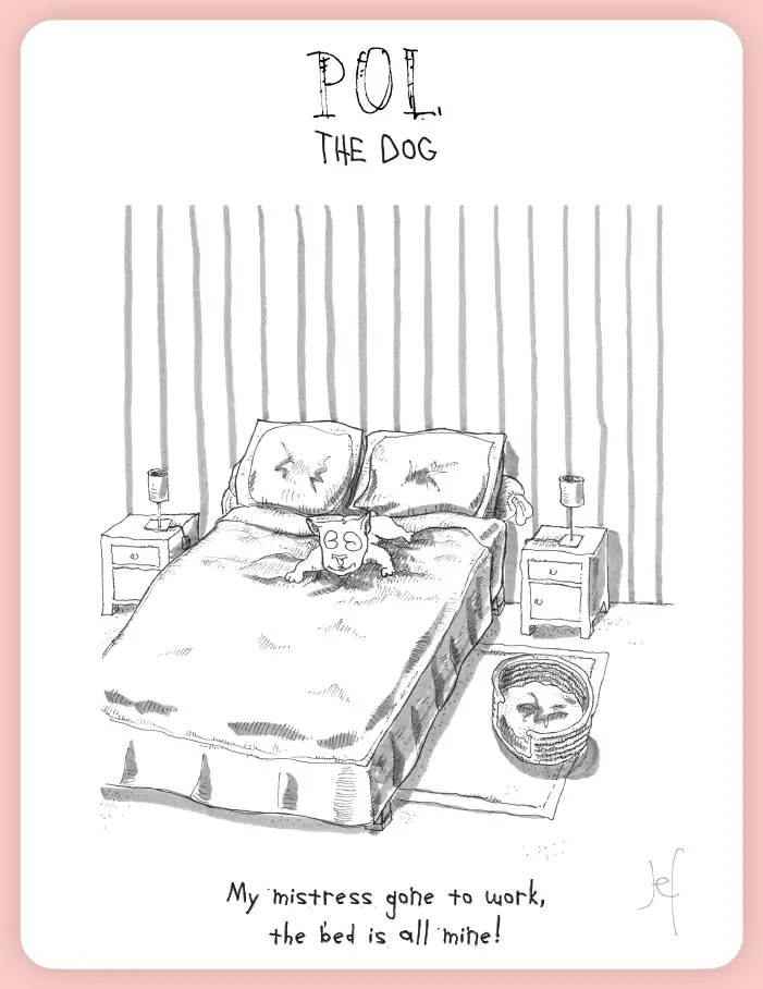 My mistress gone to work, the bed is all mine!