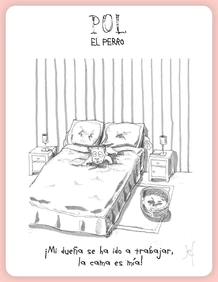 ¡Mi dueña se ha ido a trabajar, la cama es mía!
