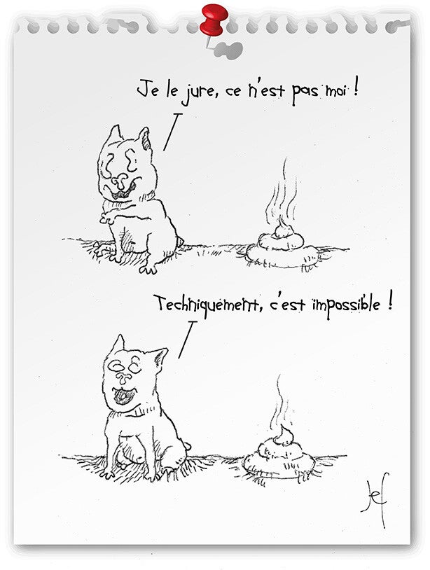Je le jure, ce n'est pas moi!  