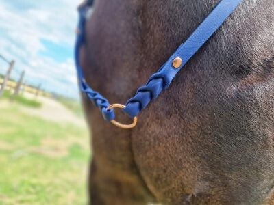 Neckrope gevlochten met ring BioThane®