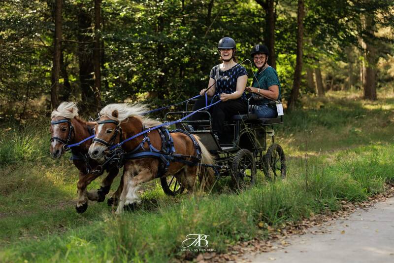 menleidsels van BioThane