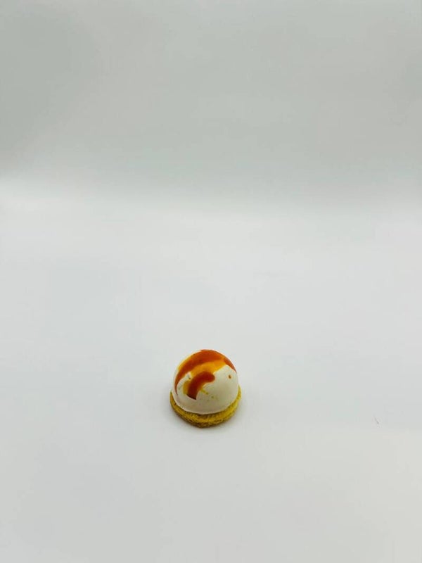 Schizzo di pomodoro
