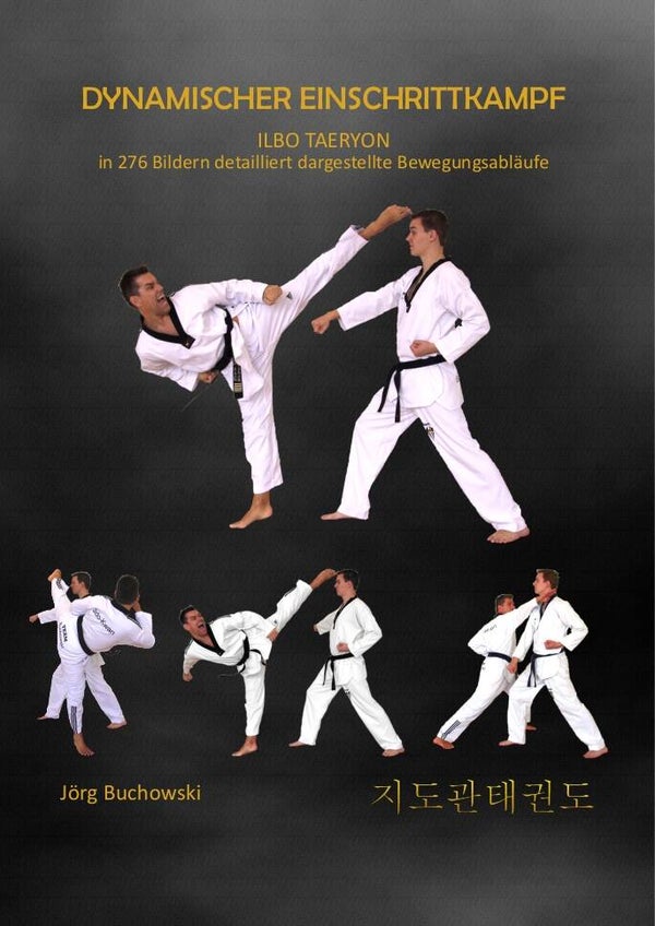 Dynamischer Einschrittkampf Ilbo Taeryon