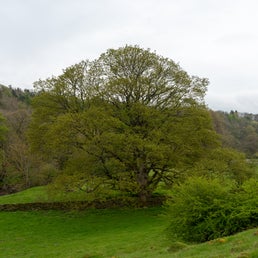 20220503-d22_7700.jpg