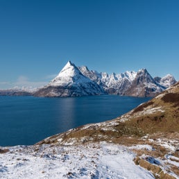 d75_0411-1.jpg